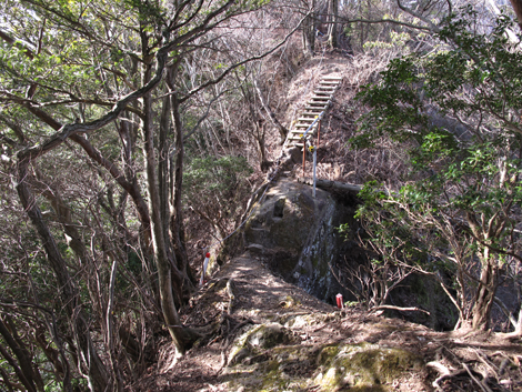 20190108hike (148)
